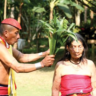 Tsáchilská očisťující ceremonie, Latinská Amerika
