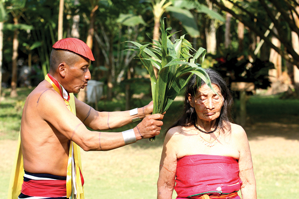 Tsáchilská očisťující ceremonie, Latinská Amerika