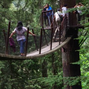 Procházka korunami stromů, Kanada