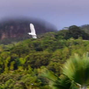 Pozorování místní přírody, Seychely