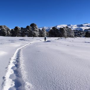 Prošlapavání trasy po sněhové bouři, Argentina