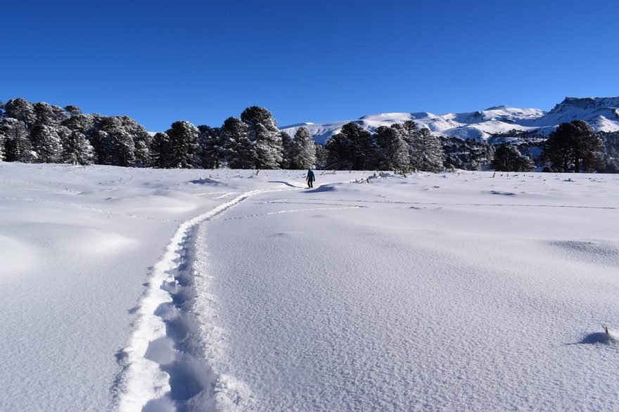 Prošlapavání trasy po sněhové bouři, Argentina