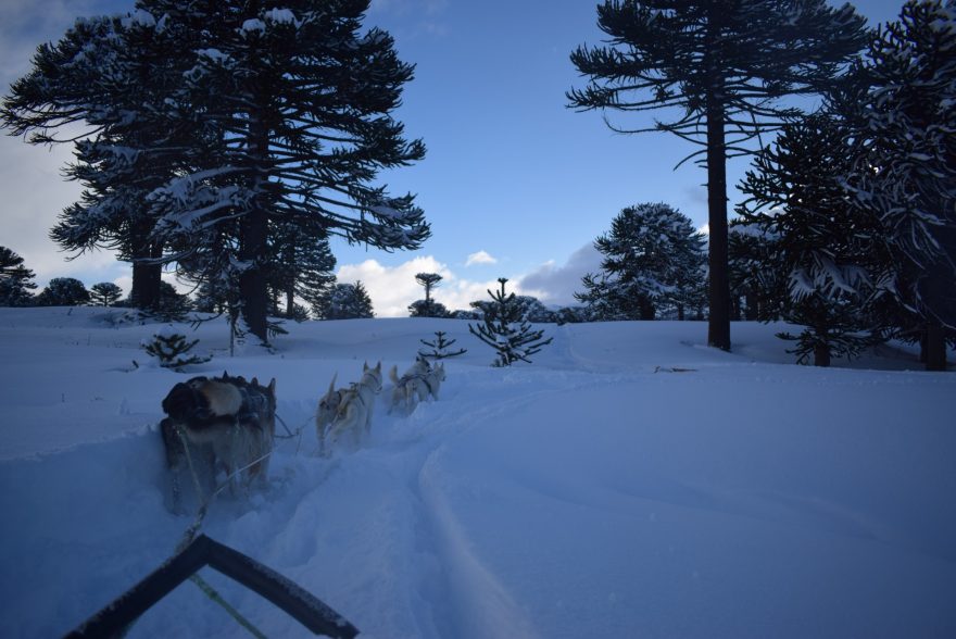 Ranní projížďka, Argentina