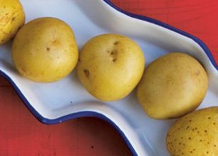 Nové kuchařky ve Smartpressu: Švédská a zeleninová kuchařka