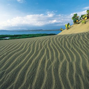 Dunas de Ban, Dominikánská republika
