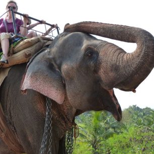 Jízda na slonovi, Srí Lanka