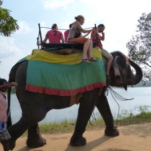 Jízda na slonech, Srí Lanka