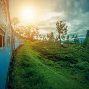 Cesta vlakem z Elly do Kandy mezi čajovými políčky, Srí Lanka