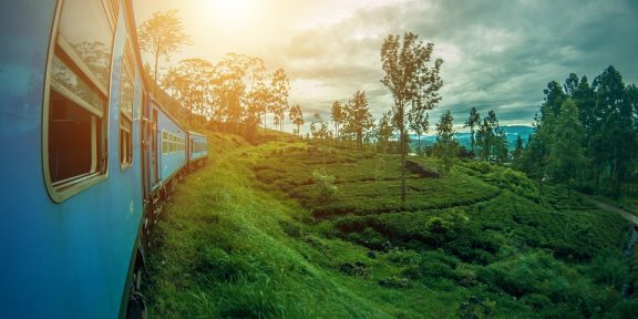 Srí Lanka: jeden den v životě zase někde jinde (na cestách s dětmi)