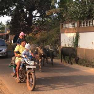 Dopravní podmínky v Indii, Indie