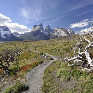 NP Torres del Paine, cesta k Los Cuernos, Patagonie, Chile