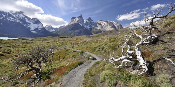 Tip na čtení: Na juhoamerickej vlne