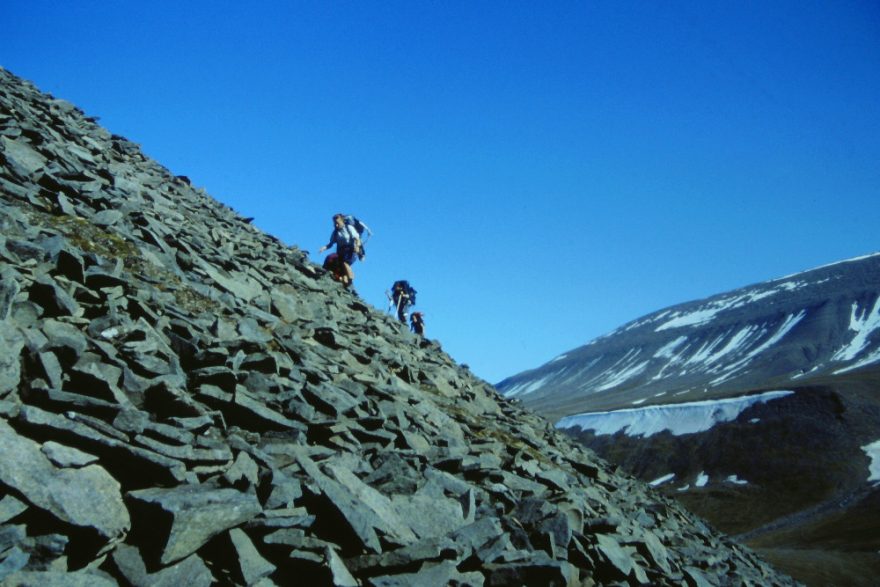 Balvanitá suť - typický terén letních Špicberků, Špicberky