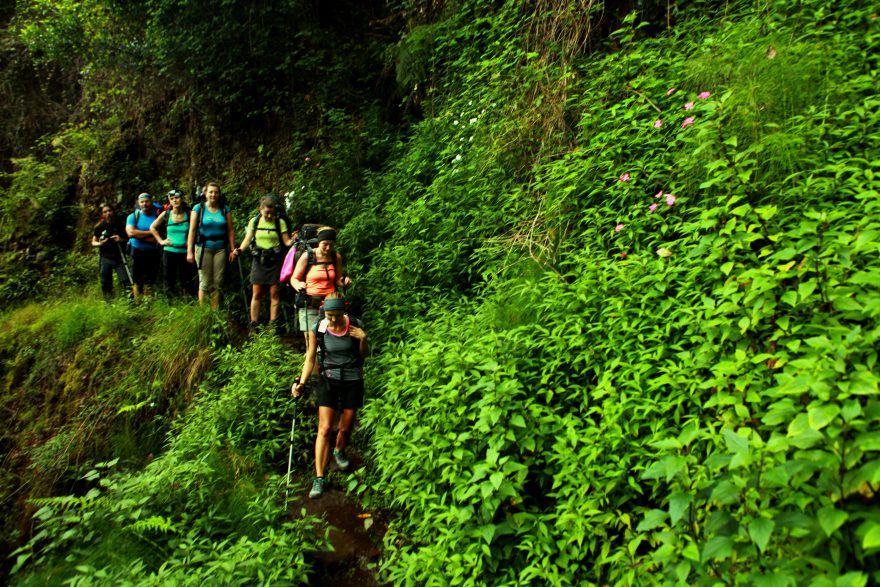 Vydejte se na přechod kvetoucí Madeiry, Madeira