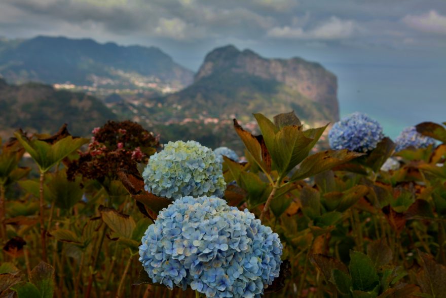 Kvetoucí ostrov věčného jara, Madeira