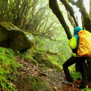 Nejlepší pro turistiku je jaro a podzim, Madeira