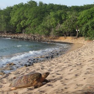 Pobřeží, Guadaloupe