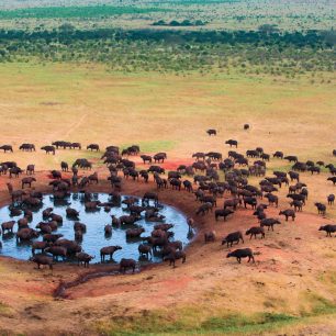 Afrika mezi většinou cestovatelů zatím čeká na objevení, zdroj: shutterstock.com