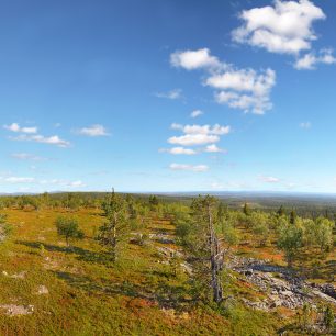 Urho Kekkonen NP, Finsko, zdroj: shutterstock.com