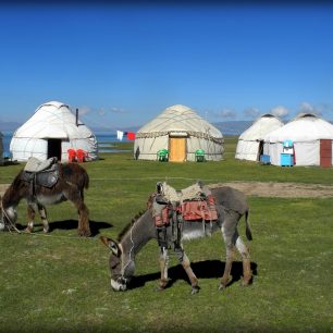 Jurtový tábor u Son kulu, Kyrgyzstán