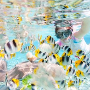 Šnorchlování, Maledivy