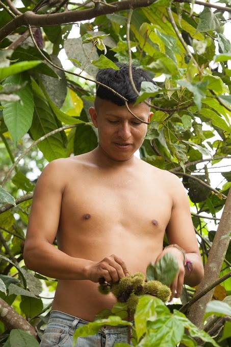 Tsáchilové, Ekvádor