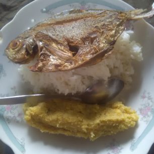 Oběd - ryba, zelený platan upravený po domorodém způsobu v podobě šišky zvané Anoila a ryba, Ekvádor