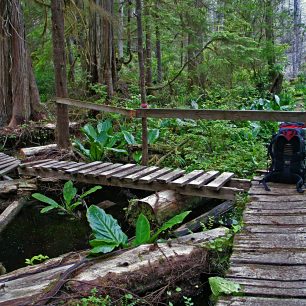 Stezka prochází divočinou plnou medvědů, pum a vlků, nejsevernějším deštným pralesem planety i po opuštěných plážích Pacifiku, Kanada