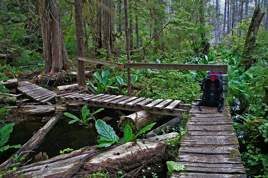 Stezka prochází divočinou plnou medvědů, pum a vlků, nejsevernějším deštným pralesem planety i po opuštěných plážích Pacifiku, Kanada