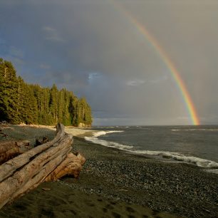 77 km dlouhý West Coast Trail se vine skrz národní park Pacific Rim na ostrově Vancouver v Britské Kolumbii, Kanada
