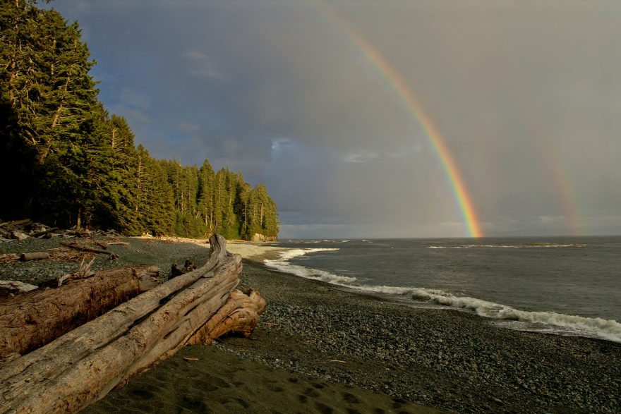 77 km dlouhý West Coast Trail se vine skrz národní park Pacific Rim na ostrově Vancouver v Britské Kolumbii, Kanada