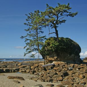 Stezka, která v 19. století sloužila k záchraně přeživších z desítek ztroskotaných lodí, dnes patří k nejkrásnějším i nejnáročnějším trekům Kanady, Kanada