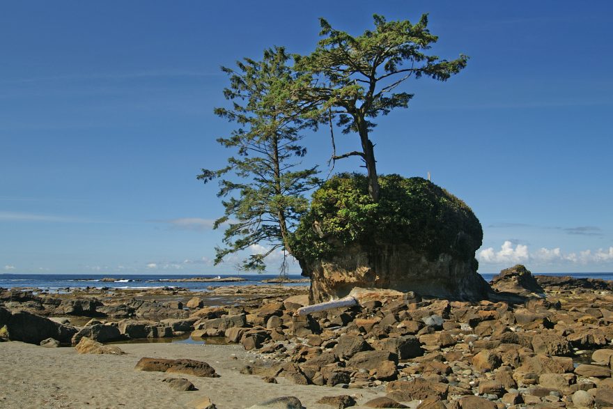 Stezka, která v 19. století sloužila k záchraně přeživších z desítek ztroskotaných lodí, dnes patří k nejkrásnějším i nejnáročnějším trekům Kanady, Kanada