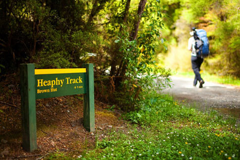 Začátek Great Walks –Heaphy, Nový Zéland