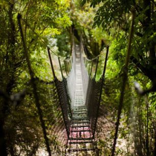 Lanové mosty usnadňují překonávání vodních toků, Nový Zéland
