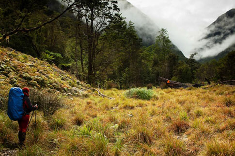 Cesta do Little Wangapeka saddle, Nový Zéland