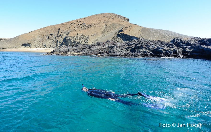 Šnorchlování u ostrovů, Galapágy