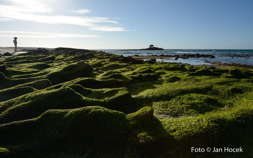 Ostrovy jsou jedinečné, Galapágy