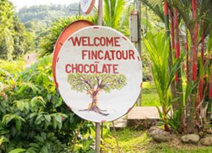 Po stopách kakaa: Původní kakaový nápoj byl hořký s chilli a kořením
