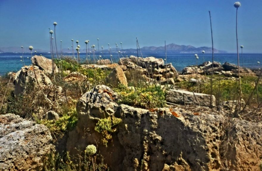 Zbytky nekropole na ostrůvku Illa des Porros, Mallorca, Španělsko