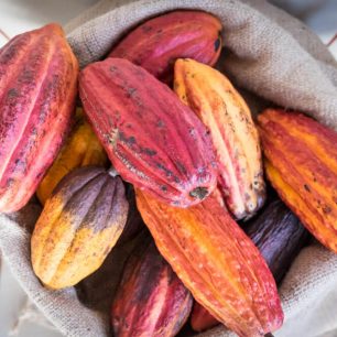 Kakaové boby, Kostarika