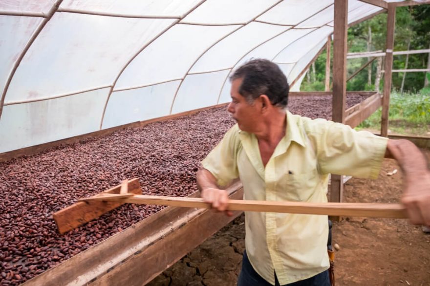 Kakaové boby se 8 - 15 dní suší a poté se upraží, Kostarika