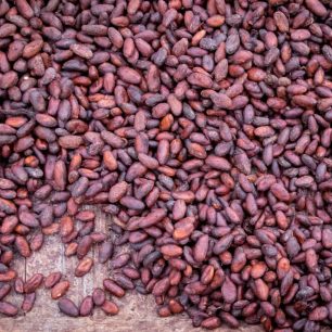 Pražené kakaové boby, Kostarika