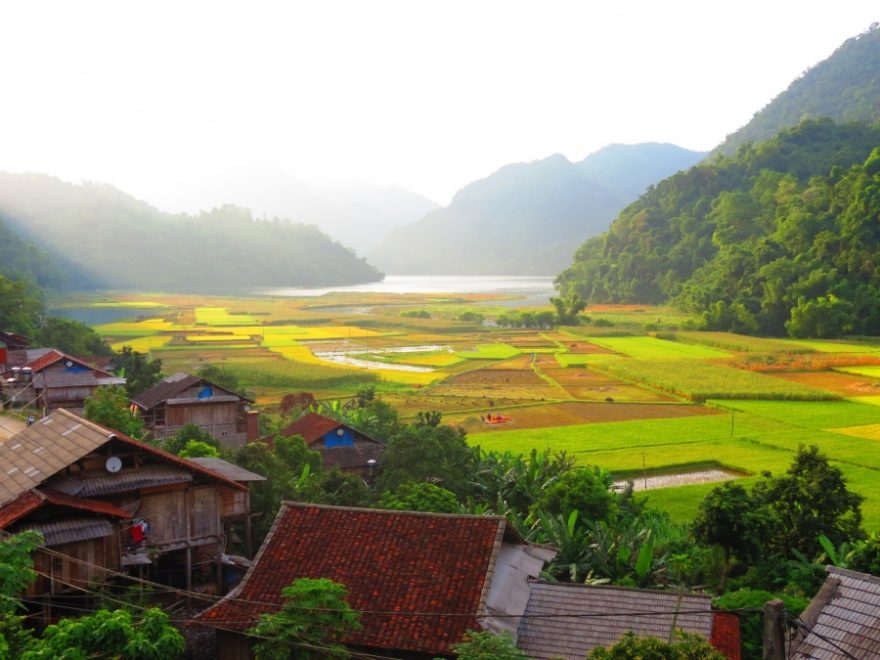 Rýžová políčka, Vietnam