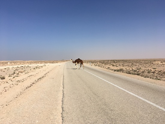 Na kole přes Afriku