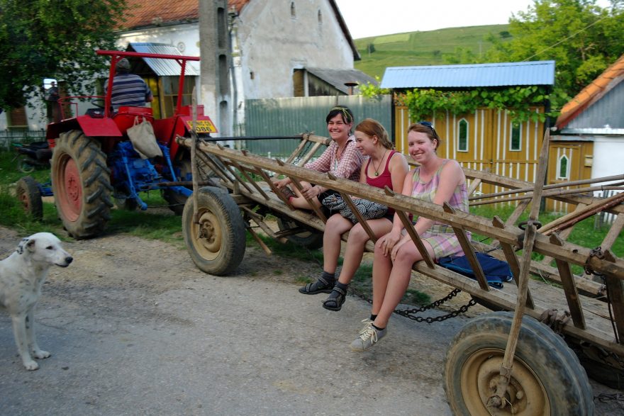 Dobrovolníci, Banát, Rumunsko