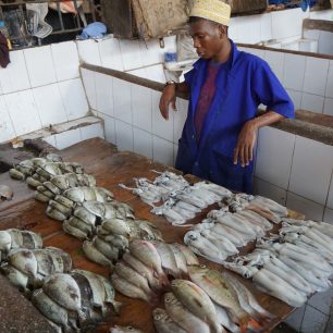 Rybí trh, Zanzibar, Tanzanie