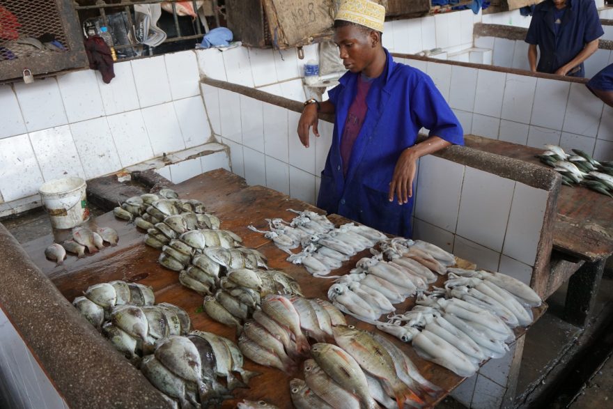 Rybí trh, Zanzibar, Tanzanie