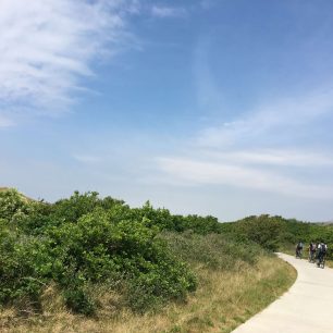 Taxel, Waddenzee, Nizozemí