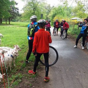 Zastávka po cestě, cyklostezka Odra - Nisa